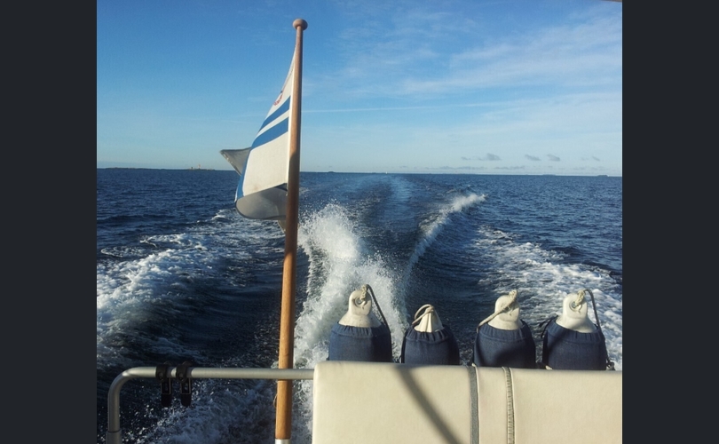 SeaStar Cruiser 8000-kuva-6